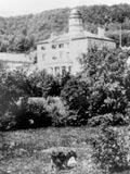 Arts Building, McGill University showing a field with a cow grazing in the foreground. (photo c1860). MUA PR027591.