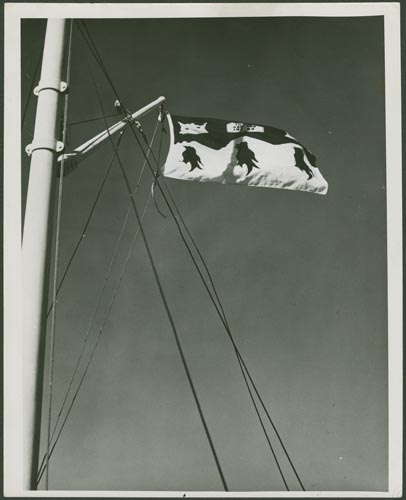 Click to enlarge Image not available